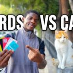 The Cats (I Mean CARDS) of Istanbul: The Student Survival Guide 2025